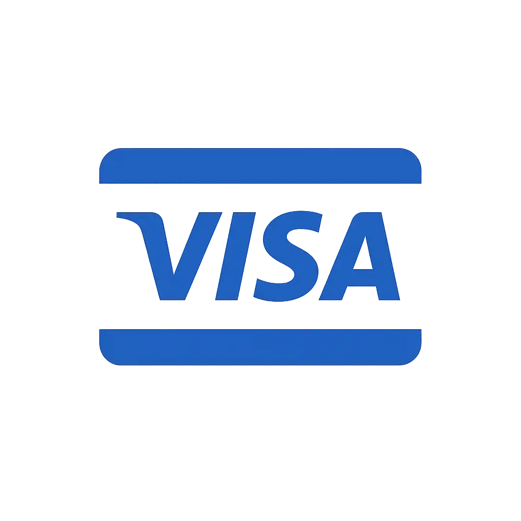 Visa payment icon